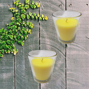 Citronella jar candles to help deter the wasp and bugs so you can enjoy the great outdoors.